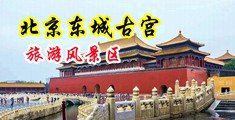 插逼免费视频好长中国北京-东城古宫旅游风景区